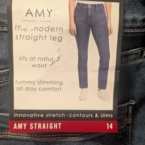 Bandolino Blue Straight Leg Jeans with Tummy Slimming